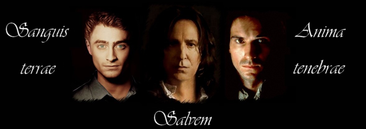 harry-severus-tom-napis.jpg